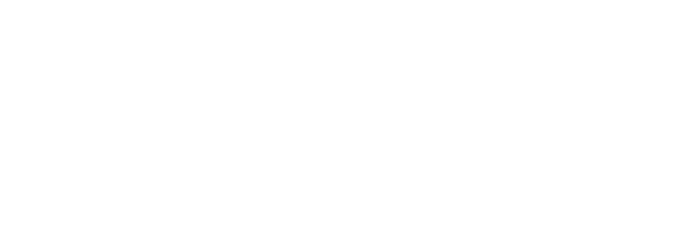 World Services Group